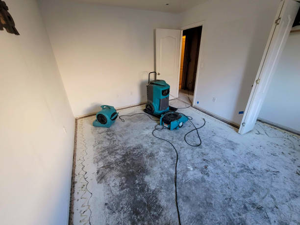Best 24/7 water damage repair  in Trenton, IL
