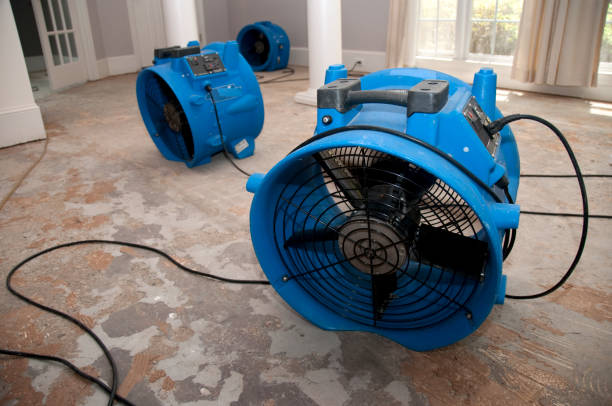 Best Commercial water damage restoration  in Trenton, IL