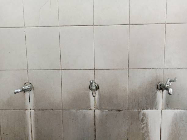 Best Commercial water damage restoration  in Trenton, IL