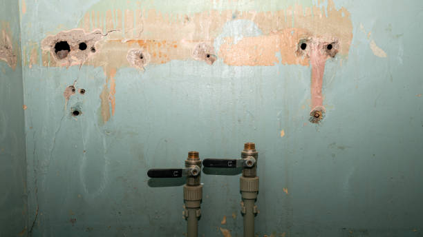Best Flooded house restoration  in Trenton, IL