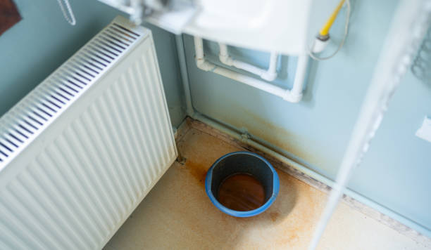 Best Flooded house restoration  in Trenton, IL