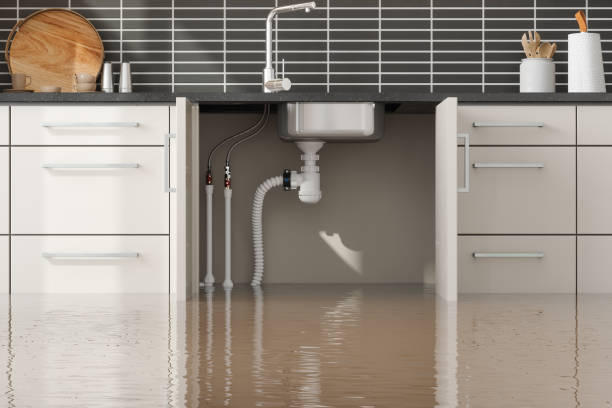 Best Commercial water damage restoration  in Trenton, IL