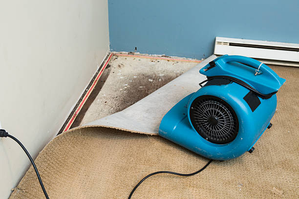 Water damage restoration mold remediation in Trenton, IL